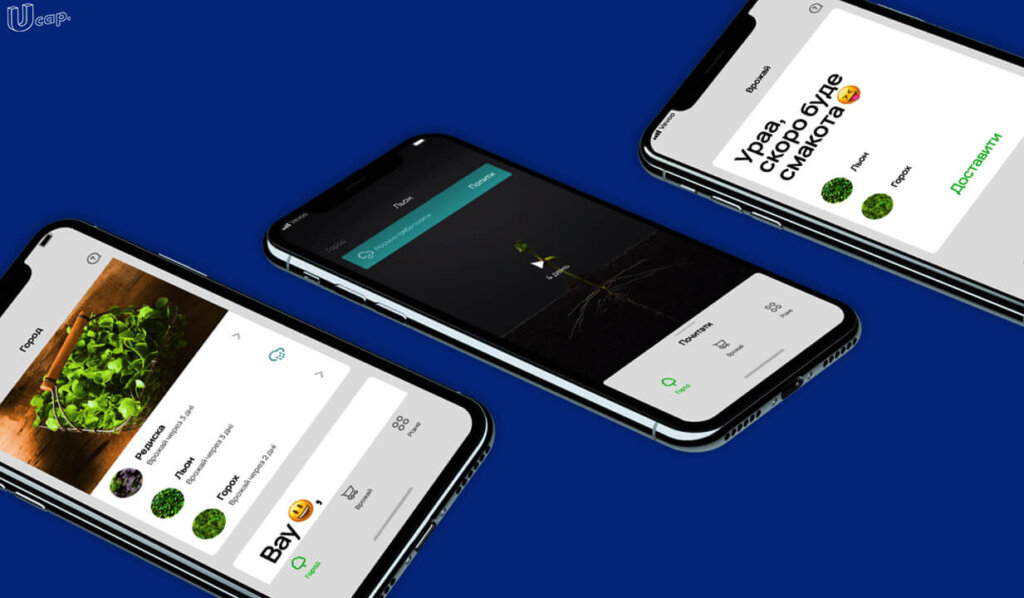 Harvefy: як інвестбанкір створює сервіс харчових продуктів за передплатою